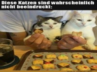Die Kekse sind hässlich