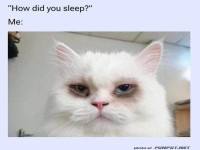 Wie hast du geschlafen?