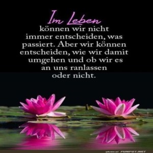 Weisheit-ber-Lebensentscheidungen.jpg von Celina93