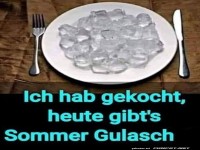 Sommer Gulasch