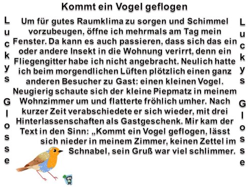 Kommt-ein-Vogel-geflogen.jpg auf www.funpot.net