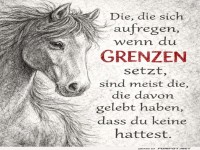 Grenzen setzen: Pferde wissen Bescheid!