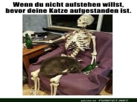 Langschl�fer auf ewig