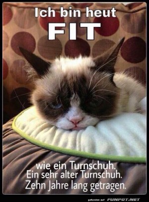 Fit-wie-ein-alter-Turnschuh!.jpg auf www.funpot.net