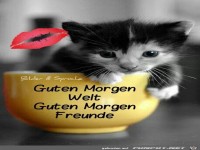 Guten Morgen 