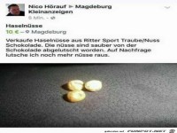 Verkaufe Haseln�sse