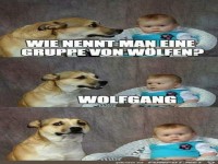 Wolfgang