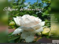 Schoenen Wochenstart