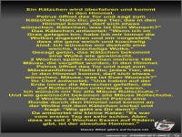 Ein K�tzchen wird �berfahren und kommt in den Himmel