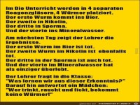 im Bio-Unterricht.......