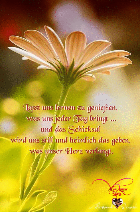 Lasst uns lernen zu genießen