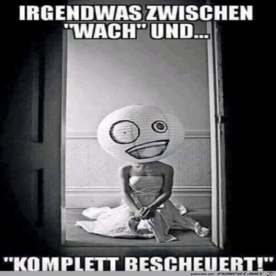 Total-bescheuert.jpg von DunklesBrot