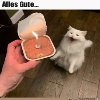 Happy-Birthday.jpg von Emilia