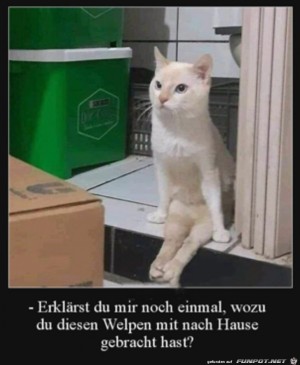 Erklär-mir-das-nochmal.jpg auf www.funpot.net