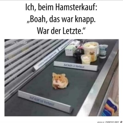 Hamsterkauf.jpg von Luka
