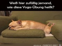 Lustige Yoga-�bung