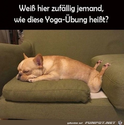 Lustige-Yoga-Übung.jpg auf www.funpot.net