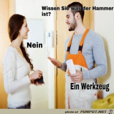 Ein-witziger-Bold.jpg von Rebecca