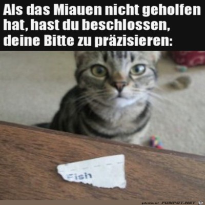 Klare-Worte.jpg von Tillmann