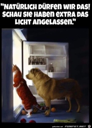 Das-Licht-brennt-extra.jpg auf www.funpot.net