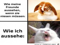 Man muss niesen