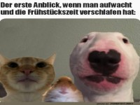 Wo bleibt das Fr�hst�ck?