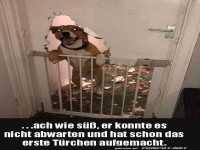 Erstes T�rchen schon ge�ffnet