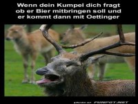 Falsches Bier gebracht