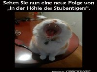 Die H�hle des Stubentigers