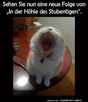 Die-Hhle-des-Stubentigers.jpg auf www.funpot.net