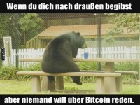 Einsamer B�r zum Thema Bitcoin