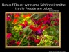 weiter