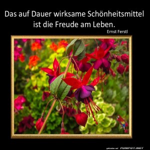 Das-Schnheitsmittel.jpg von Sirene
