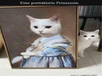 Katzenadel in voller Pracht