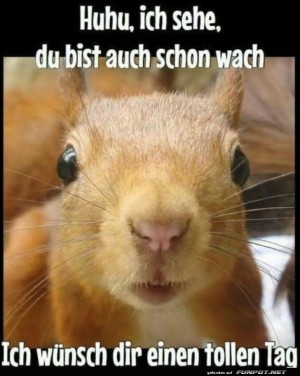 Morgenmuffel-erwachen-vereint!.jpg auf www.funpot.net