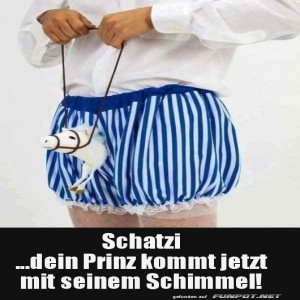 Ritterlicher-Auftritt-im-Streifenlook.jpg von Felia-51