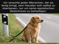 Solche Menschen gehen gar nicht