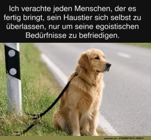 herz-Bild: Solche Menschen gehen gar nicht