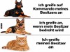 weiter