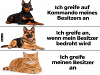 Wenn Haustiere 'Verteidigung' definieren