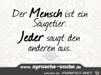 der Mensch ist ein Saeugetier 