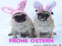 Frohe Ostern