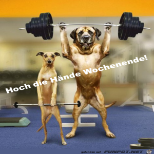 Begrüßungsbild