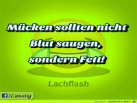 Muecken