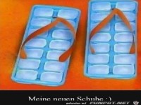 Meine aktuellen Schuhe