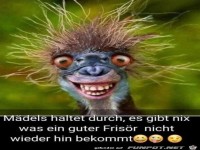 M�dels haltet durch