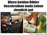 Leben w�hrend Corona