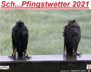 Pfingstwetter2021.jpg auf www.funpot.net