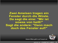 Zwei Ameisen tragen ein Fenster durch die Wste
