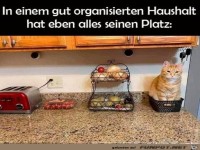 Alles hat seinen Platz